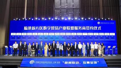 對接DEPA關(guān)系協(xié)定，推動(dòng)數(shù)字經(jīng)濟(jì)開放發(fā)展——“數(shù)貿(mào)聯(lián)動(dòng)，互惠全球”跨境數(shù)字貿(mào)易全球伙伴會(huì)議在臨港成功舉辦