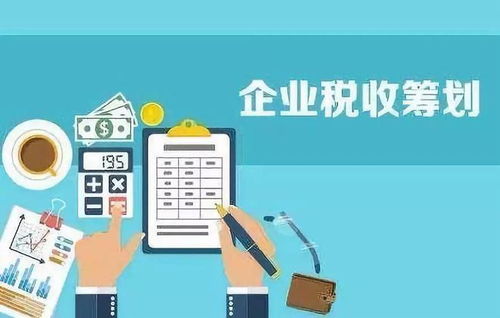 軟件技術(shù)服務(wù)公司稅務(wù)籌劃思路解析
