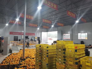 南溪區江南鎮農產品初加工廠 熱火朝天促加工，農副產品暢銷路