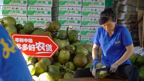 消博會盛裝揭幕 拼多多攜手央視新聞，引領網民共赴農產品云端盛宴