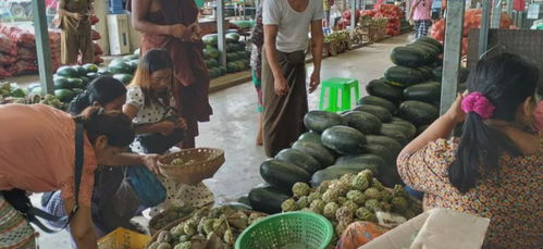 緬甸糧食安全拉響警報 基礎食品價格飆升，初級農產品收購體系面臨挑戰(zhàn)