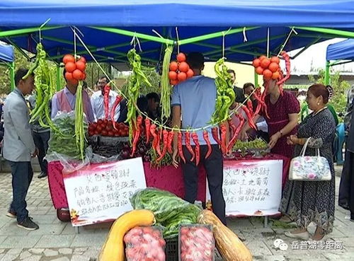 農副產品促銷會 激發市場活力，助力脫貧攻堅與初級農產品收購