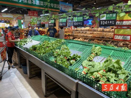 三亞菜價(jià)短線波動，明天料將回穩(wěn)