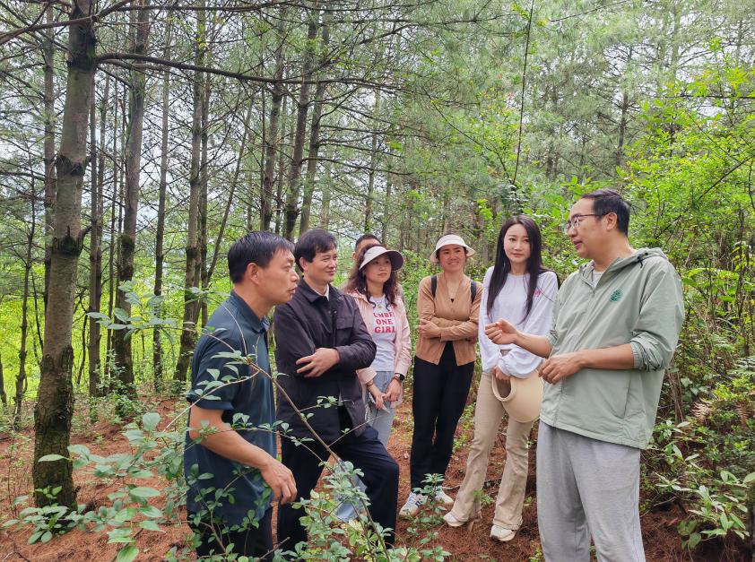 昆明市2025年科技服務(wù)深化集體林權(quán)制度改革推廣項(xiàng)目落戶嵩明，助力農(nóng)副產(chǎn)品銷售新突破