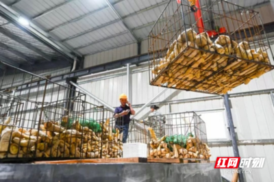 北湖供銷社賦能農(nóng)業(yè) 暢通初級農(nóng)產(chǎn)品收購，助力農(nóng)貨“出村進(jìn)城”